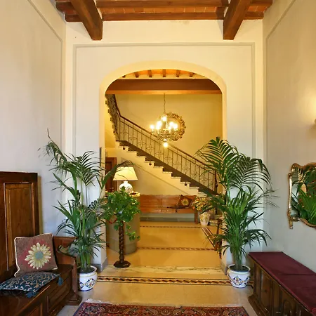 Maya Cascina (Pisa)